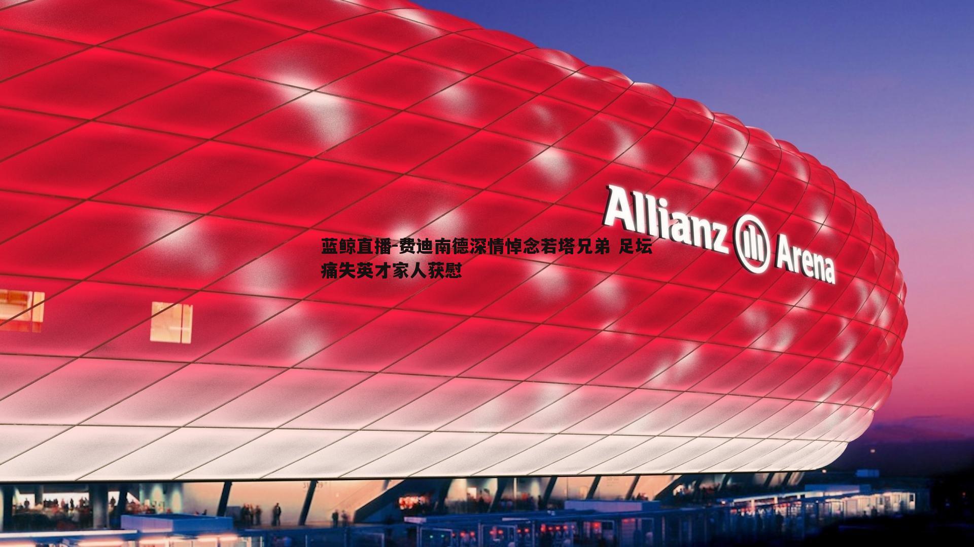 费迪南德深情悼念若塔兄弟 足坛痛失英才家人获慰